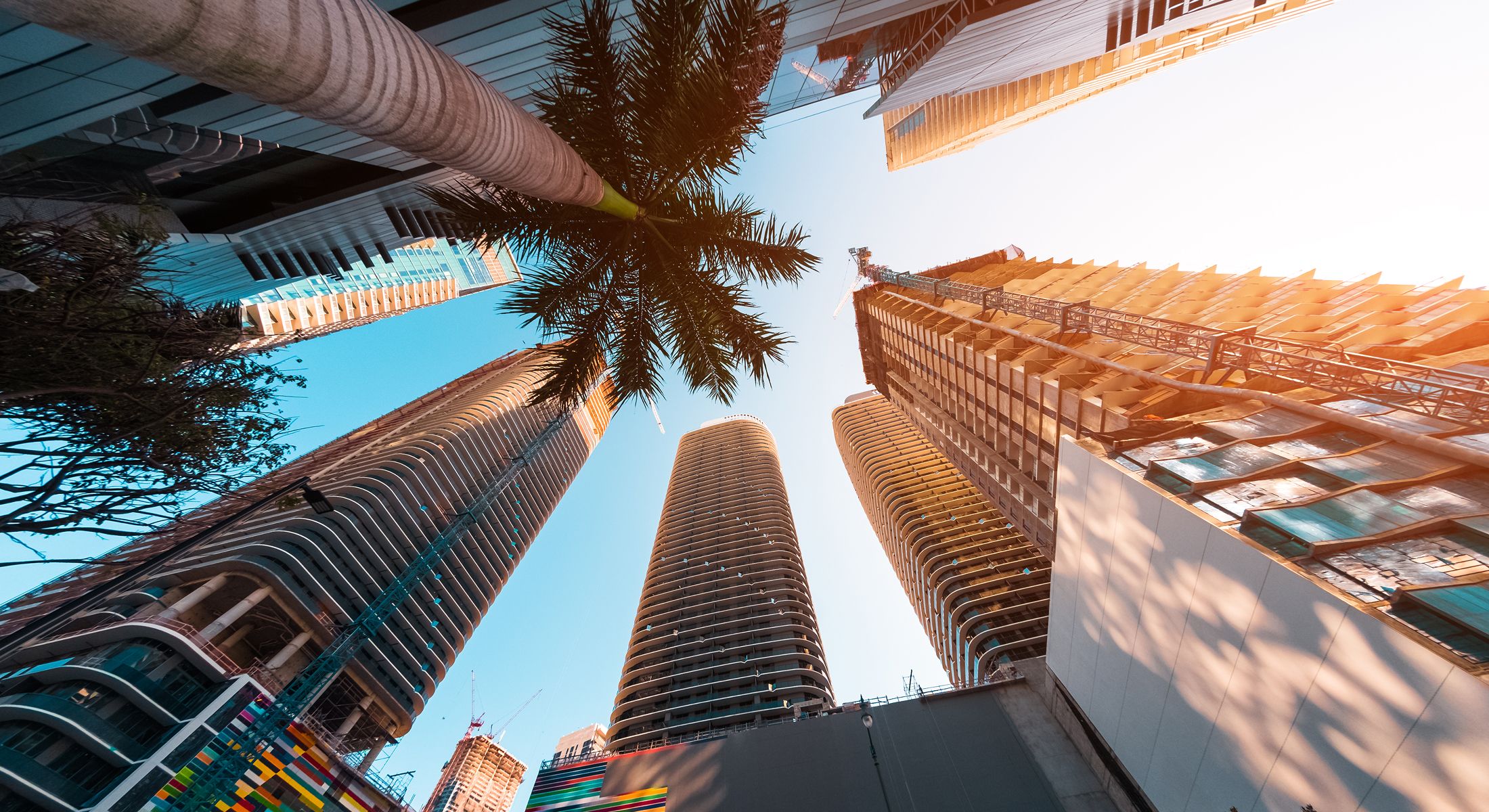 High-rise buildings under blue sky with palm.