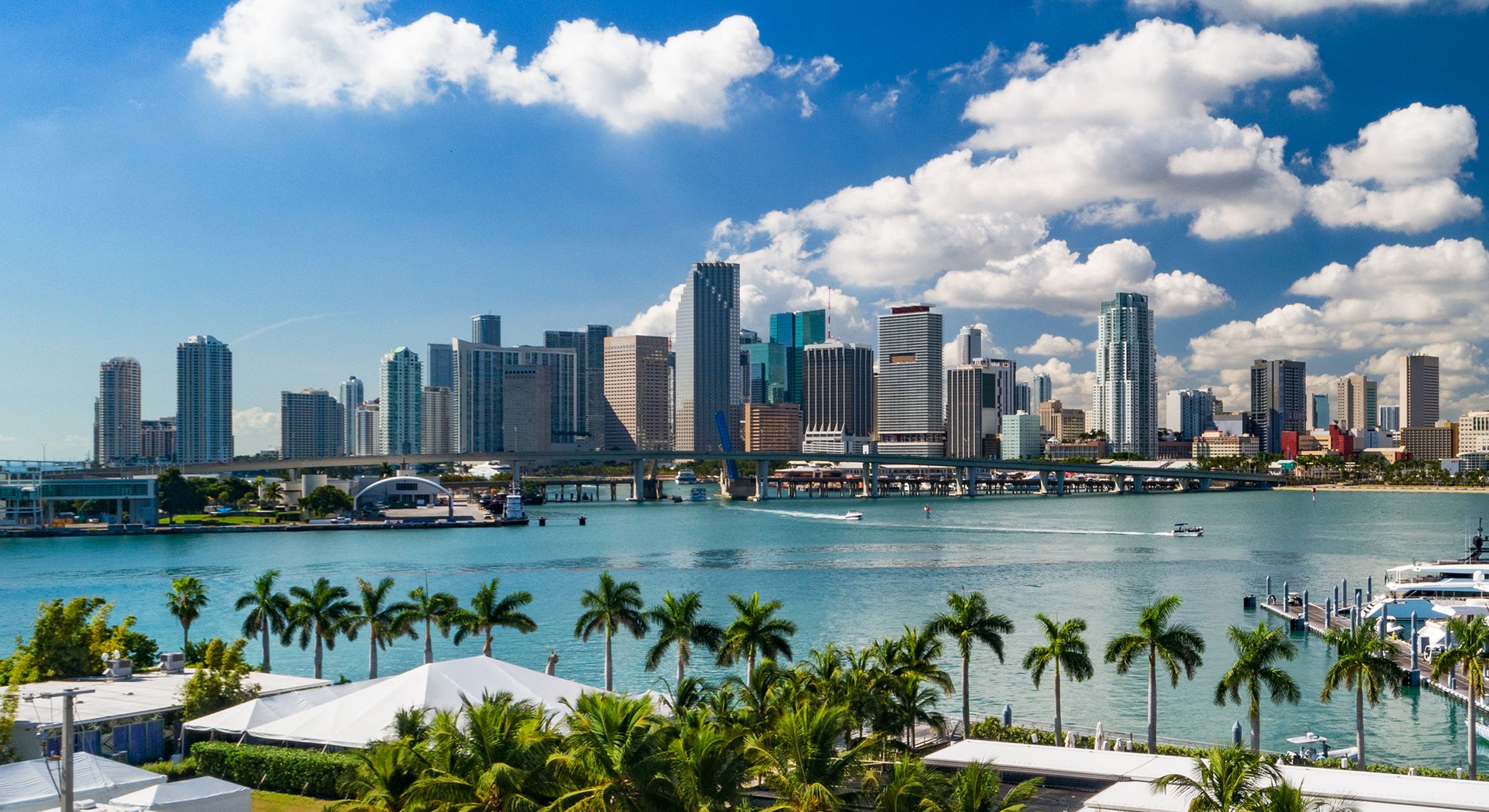 Miami skyline with water and palm trees